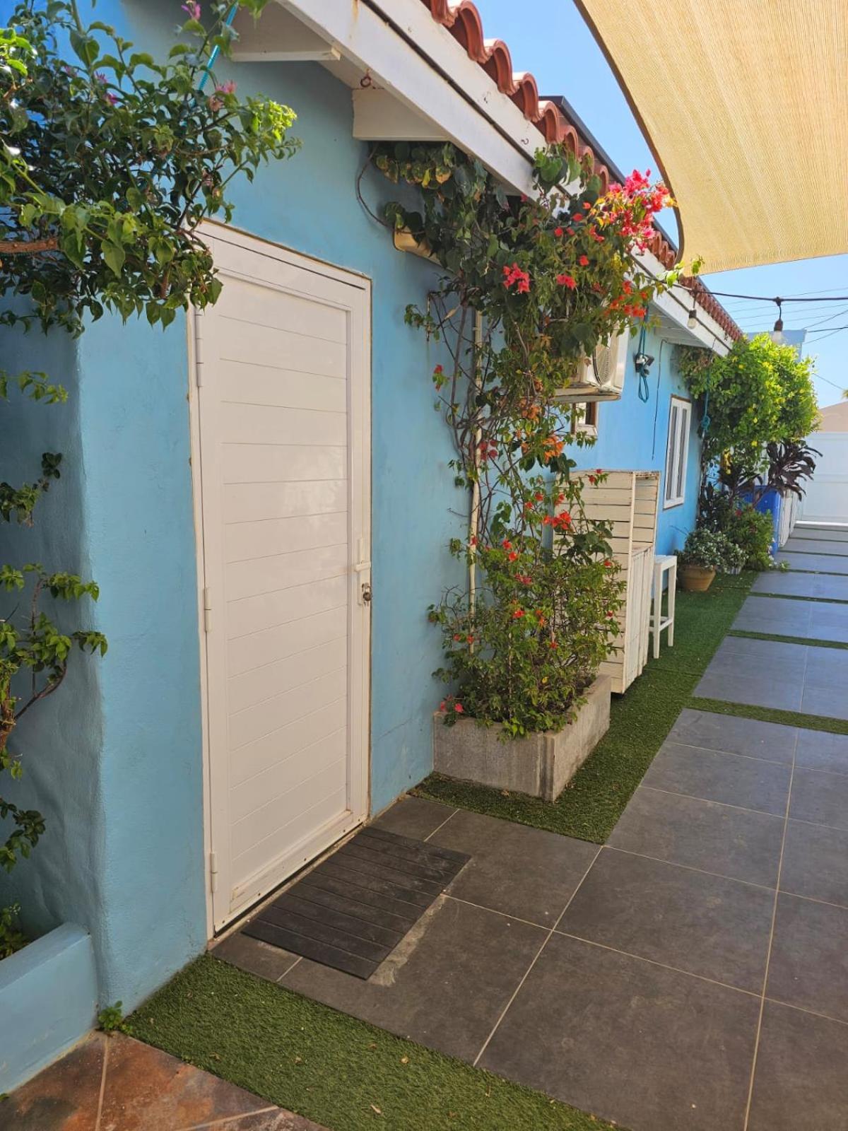 Sandcastle Beach Apartments Palm Beach Ngoại thất bức ảnh