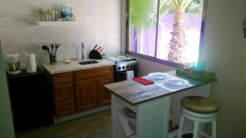 Sandcastle Beach Apartments Palm Beach Ngoại thất bức ảnh